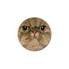 Cute Persian Catface In Closeup Golf Ball Marker by BangZart