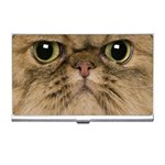 Cute Persian Catface In Closeup Business Card Holders Front