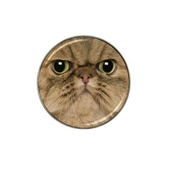 Cute Persian Catface In Closeup Hat Clip Ball Marker by BangZart