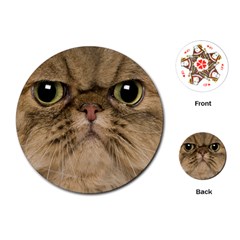 Cute Persian Catface In Closeup Playing Cards (round)  by BangZart