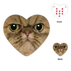 Cute Persian Catface In Closeup Playing Cards (heart)  by BangZart