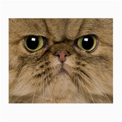 Cute Persian Catface In Closeup Small Glasses Cloth (2-side)