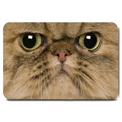 Cute Persian Catface In Closeup Large Doormat  by BangZart