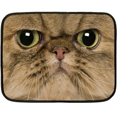 Cute Persian Catface In Closeup Double Sided Fleece Blanket (mini) 