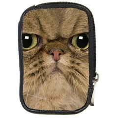 Cute Persian Catface In Closeup Compact Camera Cases