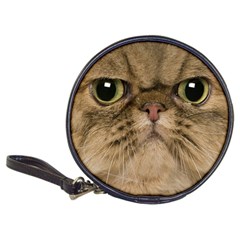 Cute Persian Catface In Closeup Classic 20-cd Wallets