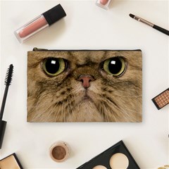 Cute Persian Catface In Closeup Cosmetic Bag (medium)  by BangZart