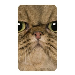 Cute Persian Catface In Closeup Memory Card Reader by BangZart