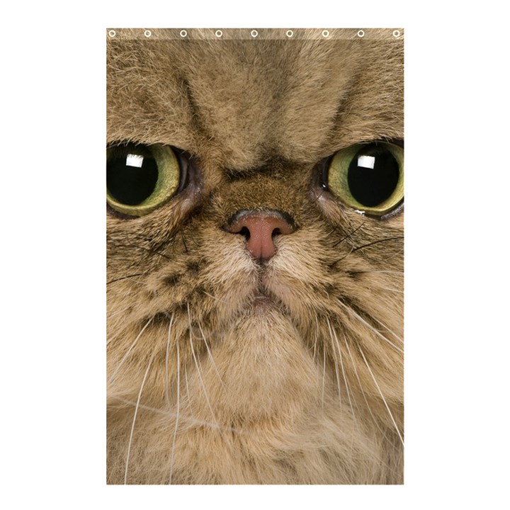 Cute Persian Catface In Closeup Shower Curtain 48  x 72  (Small) 