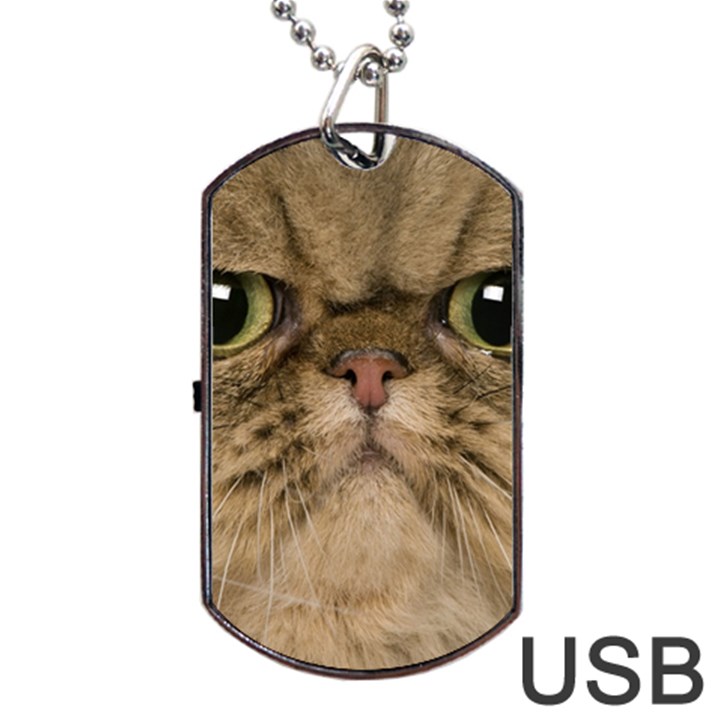 Cute Persian Catface In Closeup Dog Tag USB Flash (Two Sides)