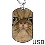 Cute Persian Catface In Closeup Dog Tag USB Flash (Two Sides) Back