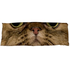 Cute Persian Catface In Closeup Body Pillow Case (dakimakura)