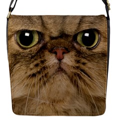 Cute Persian Catface In Closeup Flap Messenger Bag (s) by BangZart