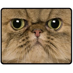 Cute Persian Catface In Closeup Double Sided Fleece Blanket (medium)  by BangZart