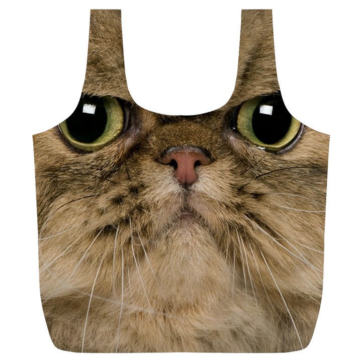 Cute Persian Catface In Closeup Full Print Recycle Bags (L) 