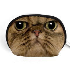 Cute Persian Catface In Closeup Accessory Pouches (medium)  by BangZart