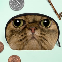 Cute Persian Catface In Closeup Accessory Pouches (large)  by BangZart