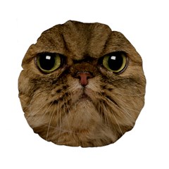 Cute Persian Catface In Closeup Standard 15  Premium Flano Round Cushions by BangZart