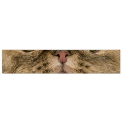 Cute Persian Catface In Closeup Flano Scarf (small) by BangZart