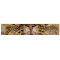 Cute Persian Catface In Closeup Flano Scarf (large) by BangZart