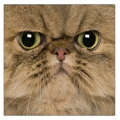 Cute Persian Catface In Closeup Large Satin Scarf (square) by BangZart