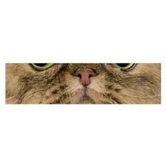 Cute Persian Catface In Closeup Satin Scarf (oblong) by BangZart