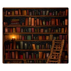 Books Library Double Sided Flano Blanket (small) 