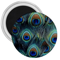 Feathers Art Peacock Sheets Patterns 3  Magnets by BangZart