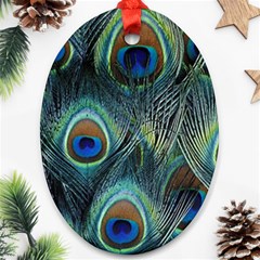 Feathers Art Peacock Sheets Patterns Ornament (oval) by BangZart