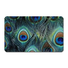 Feathers Art Peacock Sheets Patterns Magnet (rectangular) by BangZart