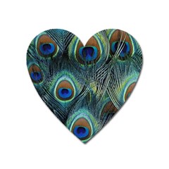 Feathers Art Peacock Sheets Patterns Heart Magnet by BangZart