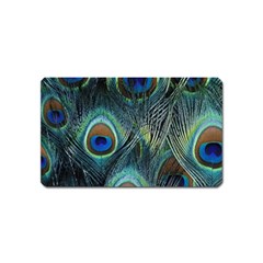 Feathers Art Peacock Sheets Patterns Magnet (name Card) by BangZart