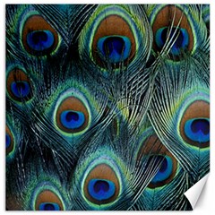 Feathers Art Peacock Sheets Patterns Canvas 12  X 12   by BangZart