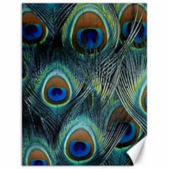 Feathers Art Peacock Sheets Patterns Canvas 12  X 16   by BangZart