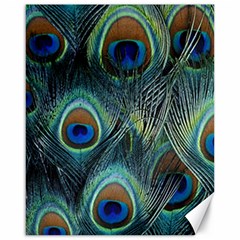 Feathers Art Peacock Sheets Patterns Canvas 16  X 20   by BangZart