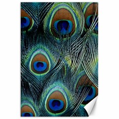 Feathers Art Peacock Sheets Patterns Canvas 20  X 30   by BangZart