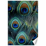 Feathers Art Peacock Sheets Patterns Canvas 20  x 30   19.62 x28.9  Canvas - 1