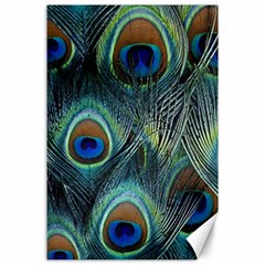 Feathers Art Peacock Sheets Patterns Canvas 24  X 36  by BangZart