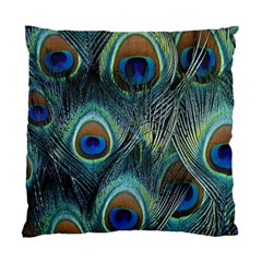 Feathers Art Peacock Sheets Patterns Standard Cushion Case (one Side) by BangZart