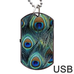 Feathers Art Peacock Sheets Patterns Dog Tag Usb Flash (one Side) by BangZart