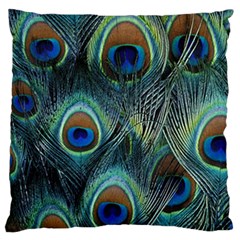 Feathers Art Peacock Sheets Patterns Standard Flano Cushion Case (one Side) by BangZart