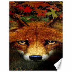 Fox Canvas 12  X 16   by BangZart