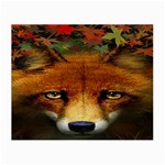 Fox Small Glasses Cloth (2-Side) Front