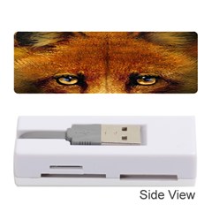 Fox Memory Card Reader (stick)  by BangZart