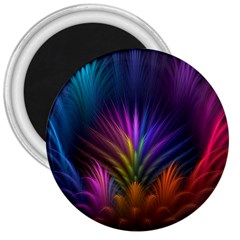 Colored Rays Symmetry Feather Art 3  Magnets by BangZart