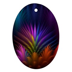 Colored Rays Symmetry Feather Art Oval Ornament (two Sides) by BangZart