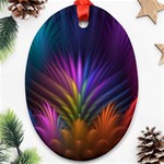 Colored Rays Symmetry Feather Art Oval Ornament (Two Sides) Back