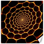 Honeycomb Art Canvas 12  x 12   11.4 x11.56  Canvas - 1