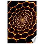 Honeycomb Art Canvas 12  x 18   11.88 x17.36  Canvas - 1