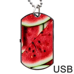 Fresh Watermelon Slices Texture Dog Tag Usb Flash (two Sides) by BangZart